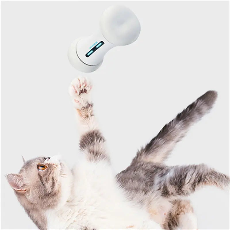 Smart Robot Bone Savy Tech Gadgets
