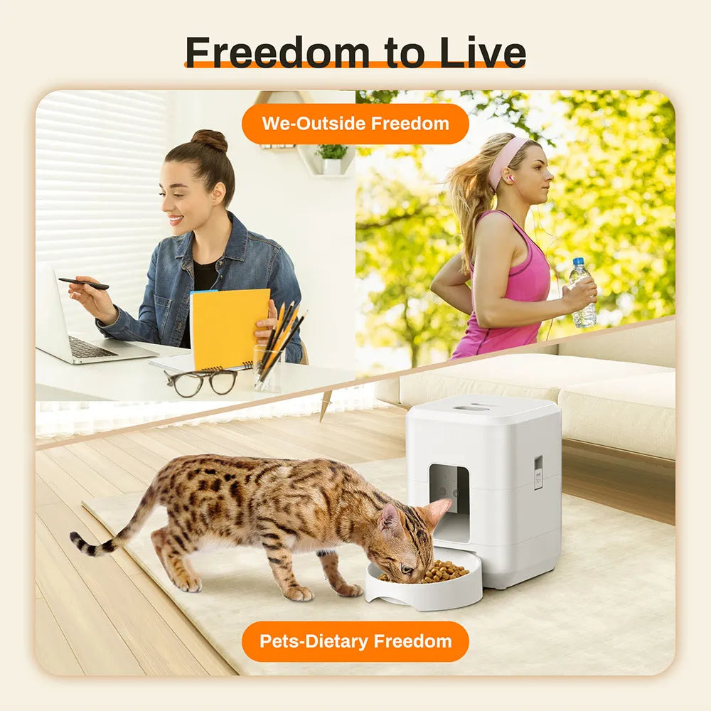 Smart Pet Feeder Savy Tech Gadgets