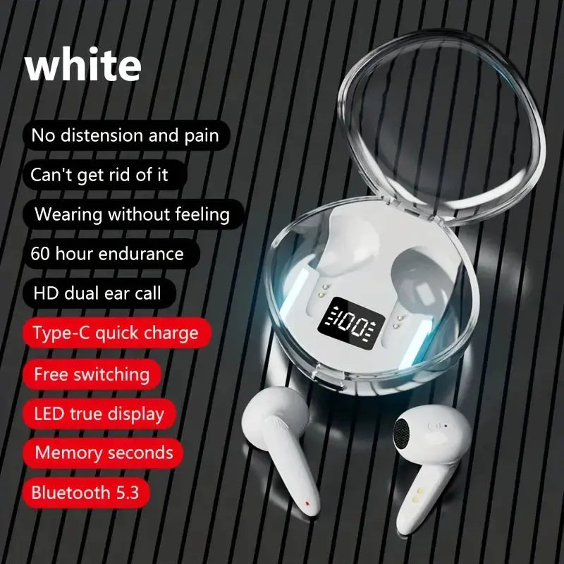 Premium Wireless Earbuds | RGB Charging Case