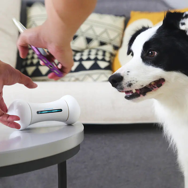 Smart Robot Bone Savy Tech Gadgets