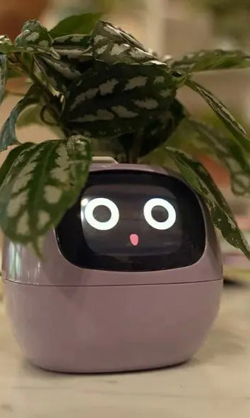 Smart Planter Savy Tech Gadgets