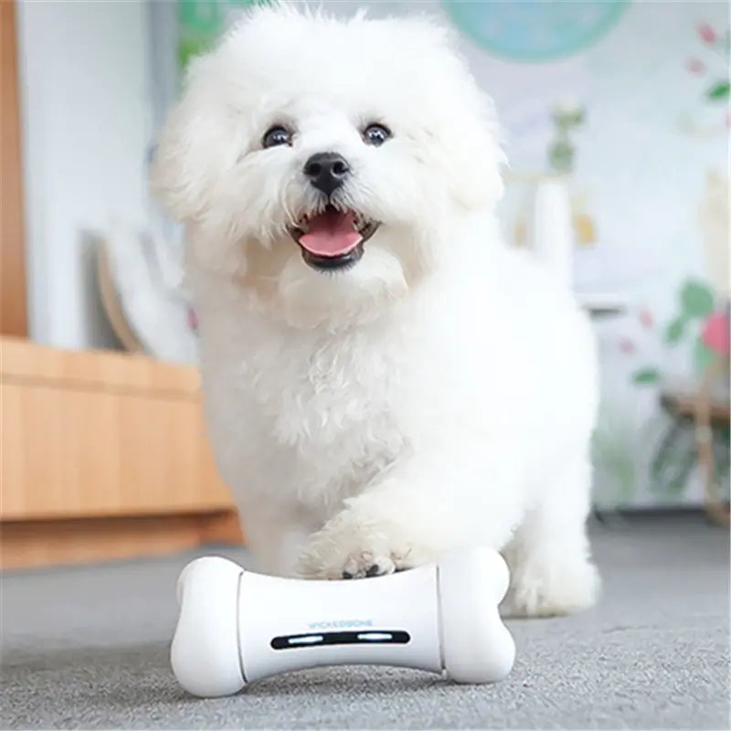 Smart Robot Bone Savy Tech Gadgets