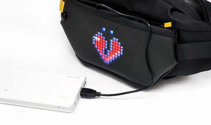LED Waist Bag