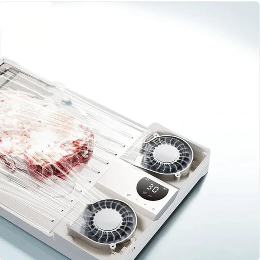 Premium Thawing Plate Savy Tech Gadgets