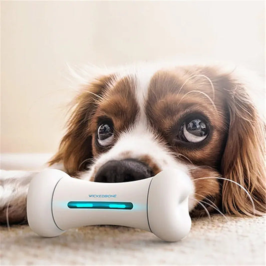 Smart Robot Bone Savy Tech Gadgets
