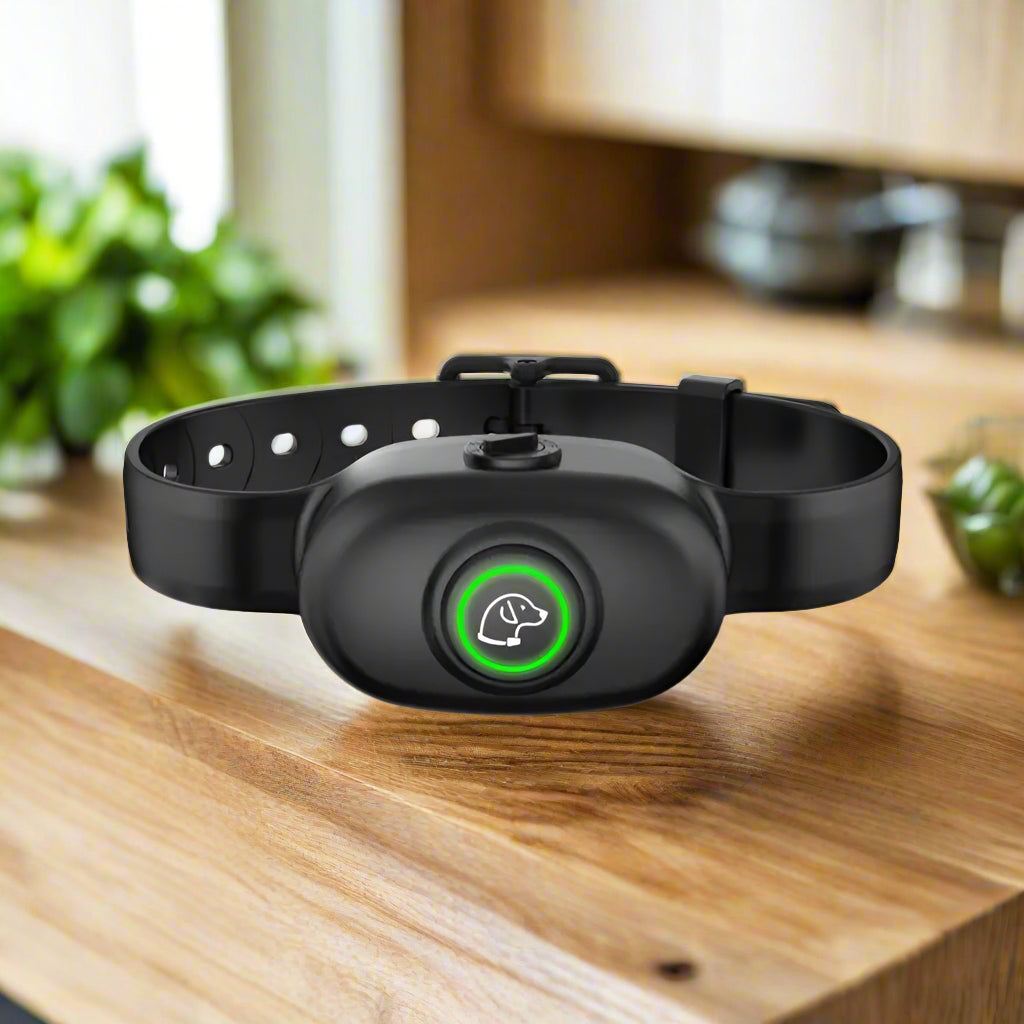 Black electronic dog collar with green light on a white background