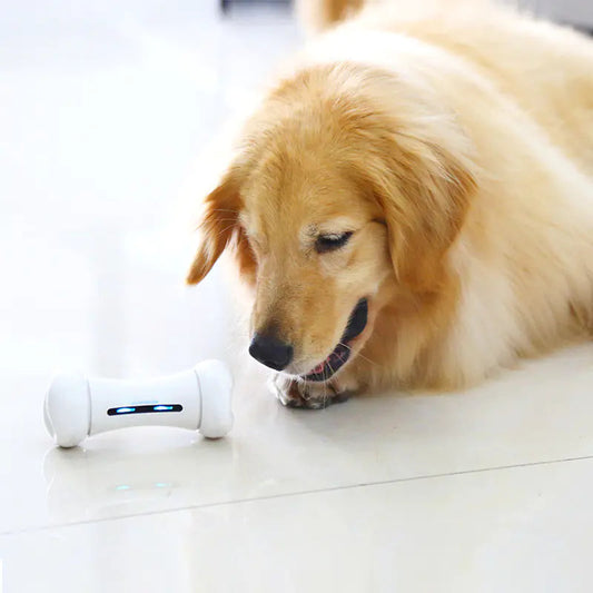Smart Robot Bone Savy Tech Gadgets