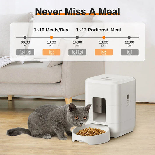 Smart Pet Feeder Savy Tech Gadgets