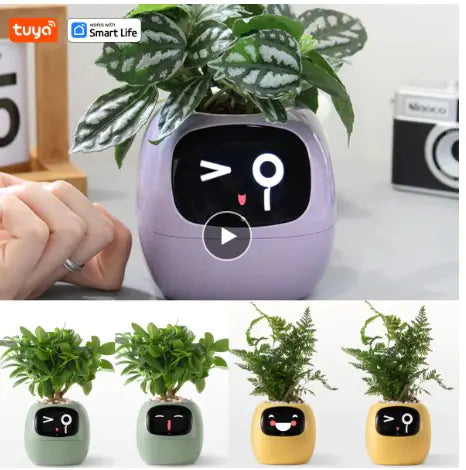 Smart plant pot with digital face on a desk, surrounded by other similar pots.