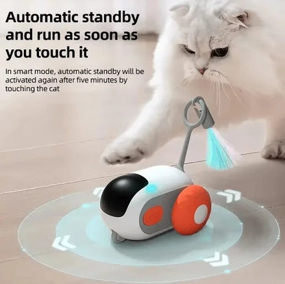 Smart Cat Car