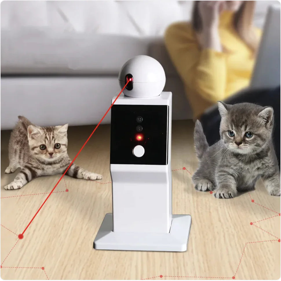 Pet Play Robot