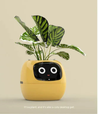 Smart Planter Savy Tech Gadgets