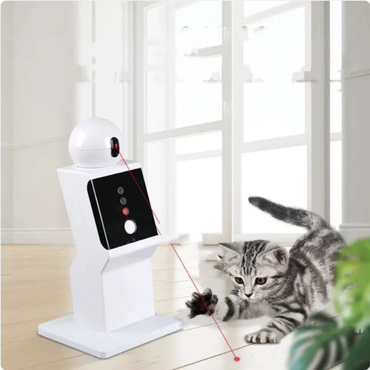 Pet Play Robot