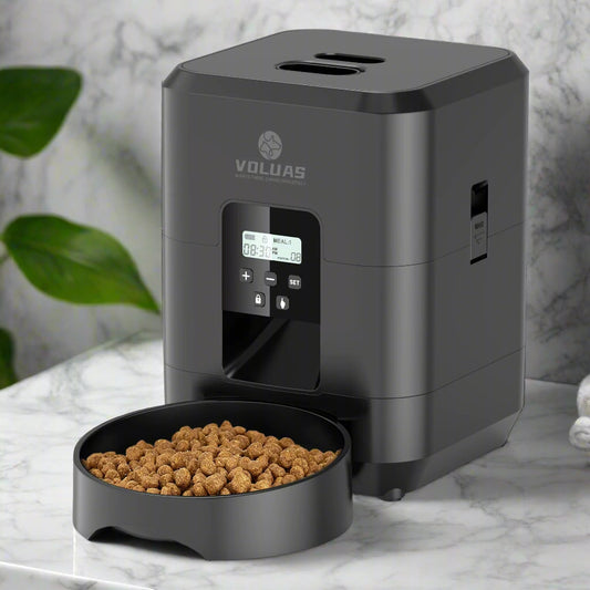 Black pet food dispenser with a bowl of kibble on a white background